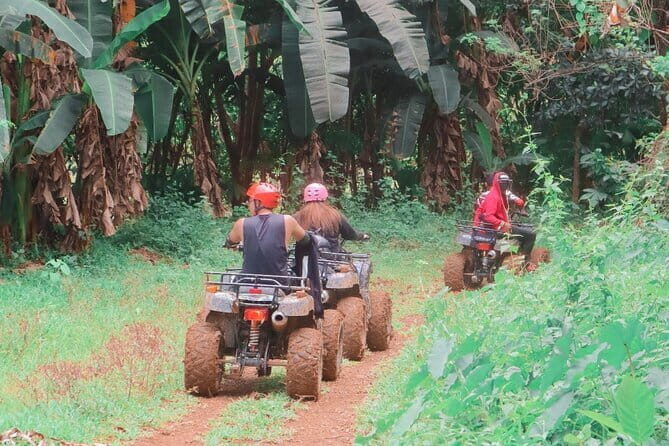 A Day in Paradise at Villa Escudero Coconut Plantation Adventure - Practical Details & Value