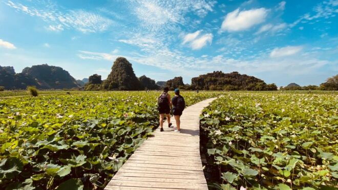 A Day in Paradise: Hoa Lu, Tam Coc, and Mua Cave Adventure - Stunning Limestone Karsts and Greenery