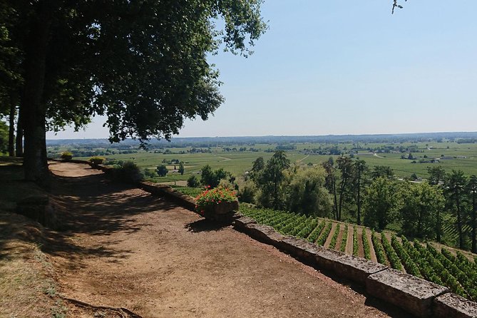 A Day in Saint-Émilion and Its Châteaux in a Private Tour (Van Luxe) - Exploring the Medieval Charm of Saint-Émilion
