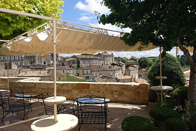 A Day in Saint-Émilion and Its Châteaux in a Private Tour (Van Luxe) - Itinerary and Logistics for a Seamless Experience