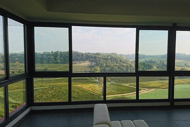 A Day in Saint-Emilion in a Small Group (Minivan Luxe) - Overview and Inclusions