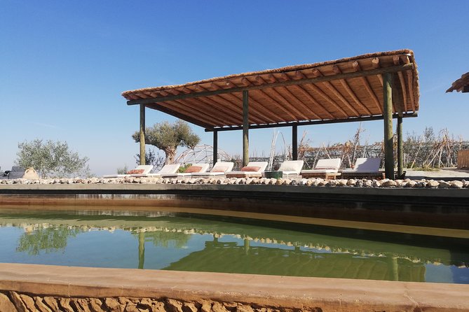 A Day in the Agafay Desert, Quad Biking, Lunch, Pool and Camel Access. - Accessibility and Recommendations