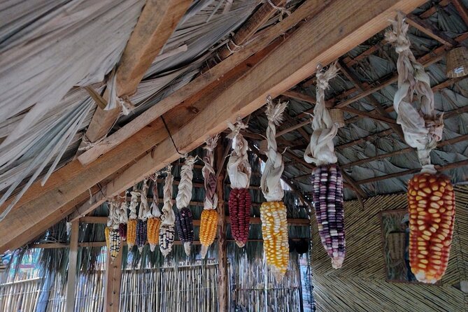 A Day in the Life of a Zapotec Village - Traveler Photos and Reviews