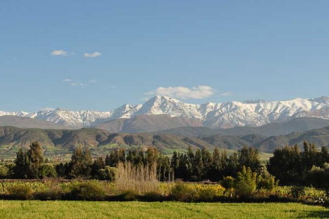 A Day in the Ourika Valley and in the Atlas - Review Statistics