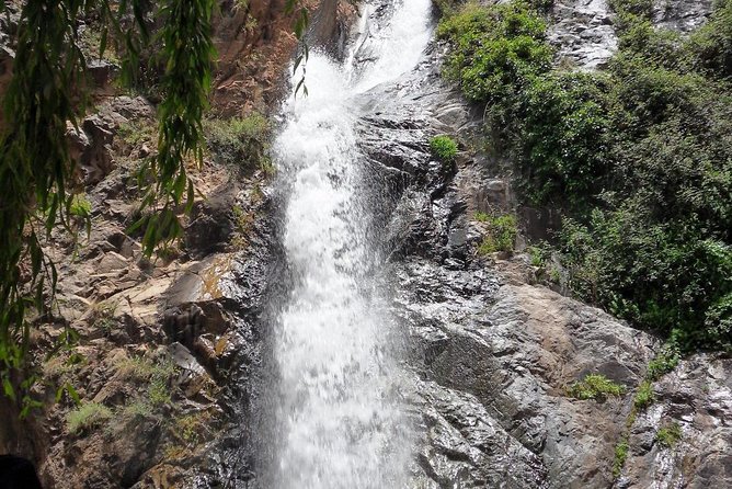 A Day in the Ourika Valley and in the Atlas - Expectations and Policies