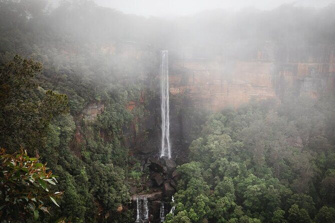 A Day In The Vineyards || Luxury Private Winery Tour From Sydney - Good To Know