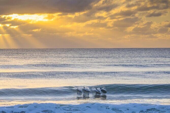 A Day In The Vineyards || Luxury Private Winery Tour From Sydney - Who Would Love This Tour?