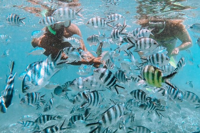 A Day of Escapade at Ile Des Deux Cocos Mauritius - Free Cancellation and Reservation Options