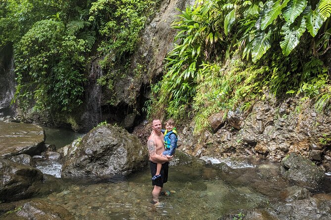 A Day of Relaxation in the Jungle and Waterfalls of Dominica - Arrival at Dominicas Jungle Paradise