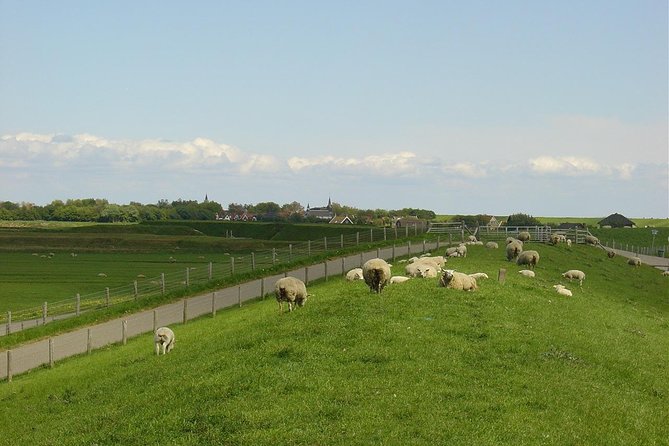 A Day of Solex Riding on Texel - Details of Pickup Location in Oudeschild