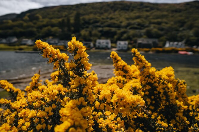 A Day on the Isle of Arran Including Admission From Glasgow - The Sum Up