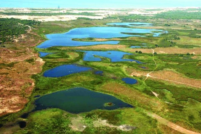 A Day Through the Doñana National Park and the Village of Rocio - Wildlife and Birdwatching in Doñana