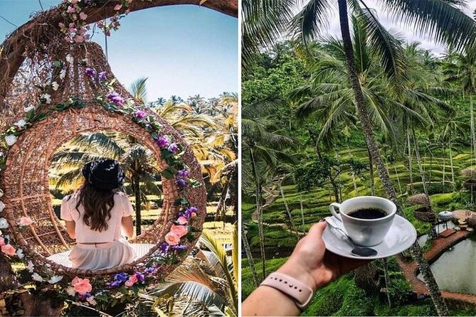 A Day Tour in Ubud - Waterfall, Temples & Swing - Waterfall Exploration