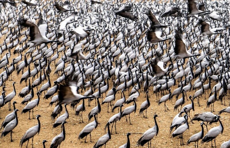 A Day Tour of Bharatpur Bird Sanctuary from Agra. - Why This Tour Is a Great Choice