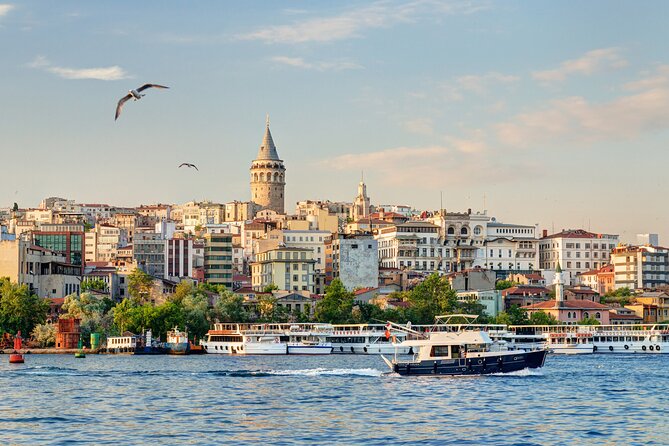 A-Day-Tour of Istanbul, by Land and Sea - Reviews
