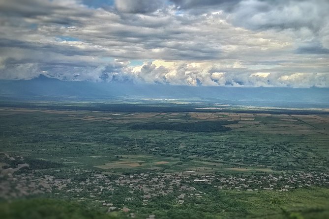 A Day Tour to Kakheti Region/Wine/Culture/History and Gastro Tour - Tour Details