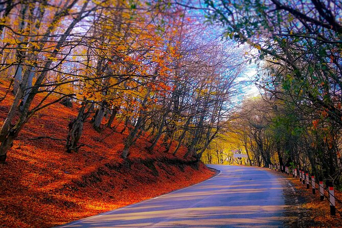 A Day Tour to Kakheti Region/Wine/Culture/History and Gastro Tour - Reviews
