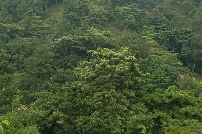 A Day Tour to Paanchmane Hill - The Sum Up