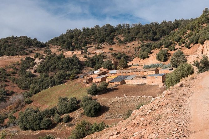 A Day Trip From FEZ Through the MIDDLE ATLAS - The Sum Up