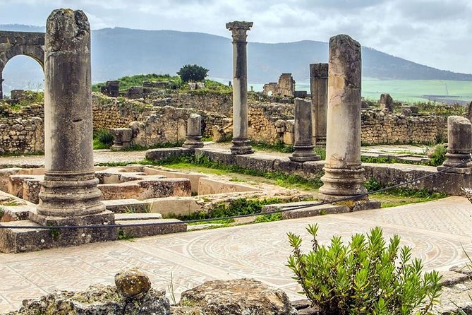 A Day Trip From FEZ Through VOLUBILIS - MOULAY IDRISS – MEKNES - Experience Highlights