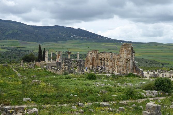 A Day Trip From FEZ Through VOLUBILIS - MOULAY IDRISS – MEKNES - Discover Moulay Idriss