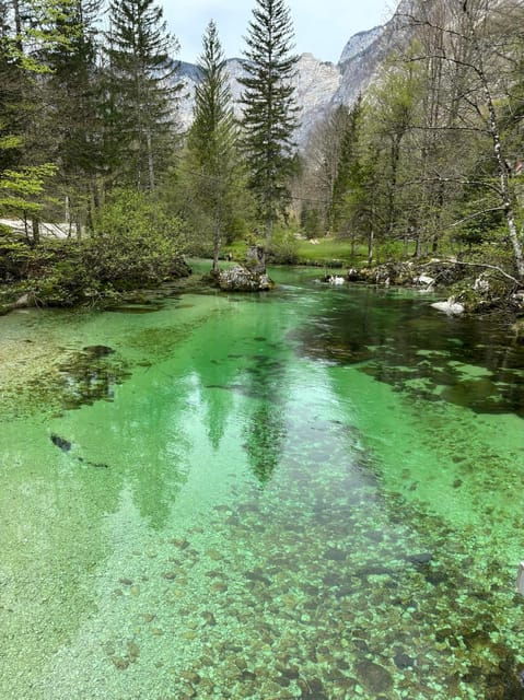A Day Trip From Ljubljana: Magical Nature and Lake Bohinj - Tour Inclusions
