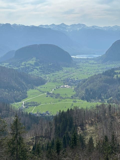 A Day Trip From Ljubljana: Magical Nature and Lake Bohinj - Cancellation Policy and Accessibility