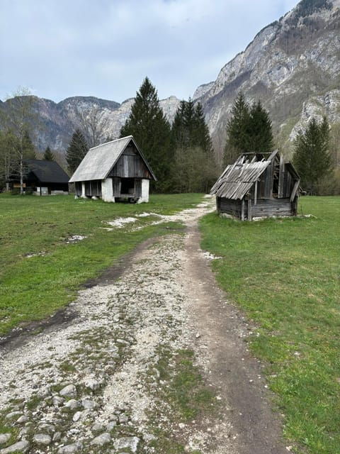 A Day Trip From Ljubljana: Magical Nature and Lake Bohinj - What to Expect