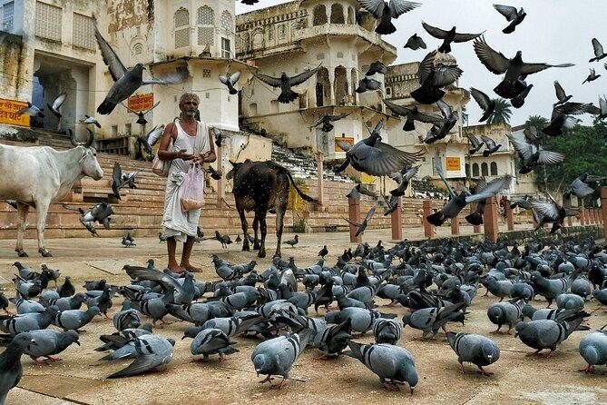 A Day Trip of Pushkar From Jaipur with Guide Service - Final Thoughts