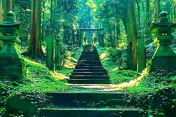 A Day Trip to Mount Aso from Fukuoka - Who Should Consider This Tour?