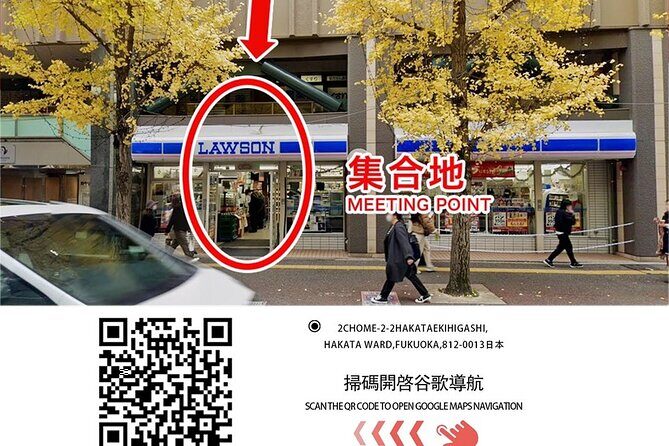 A Day Trip to Mount Aso from Fukuoka - Who Should Consider This Tour?