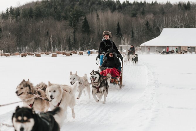 A Day With Bite Among the Sled Dogs - Access to Hiking Trails