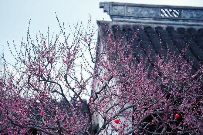 A Deep Dive into Nanxiang Xiaolongbao Culture - The Value of the Experience