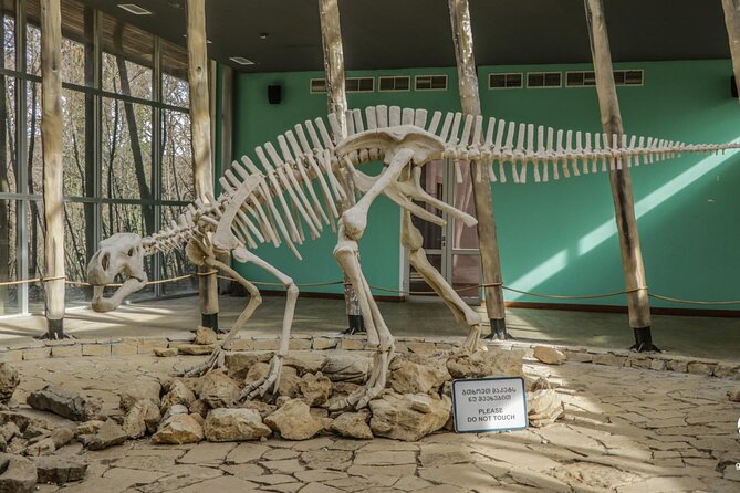 A Dinosaur Footprint Tour & Natural Reserve Discovery - Good To Know
