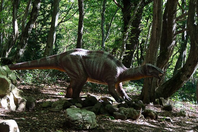 A Dinosaur Footprint Tour & Natural Reserve Discovery - What To Expect on the Tour