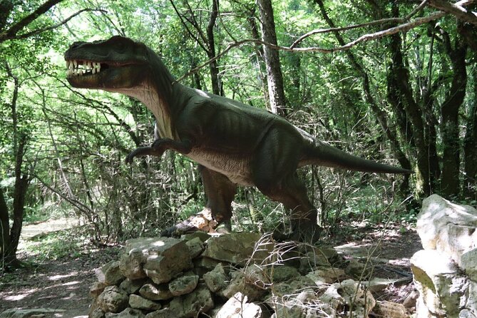 A Dinosaur Footprint Tour & Natural Reserve Discovery - Cancellation Policy Information