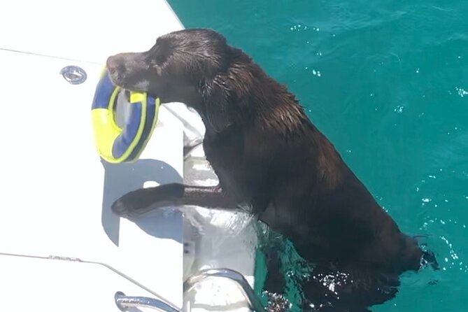 A Full-Day Catamaran Cruise Tavolara Island, With Lunch  - Olbia - Start and End Time