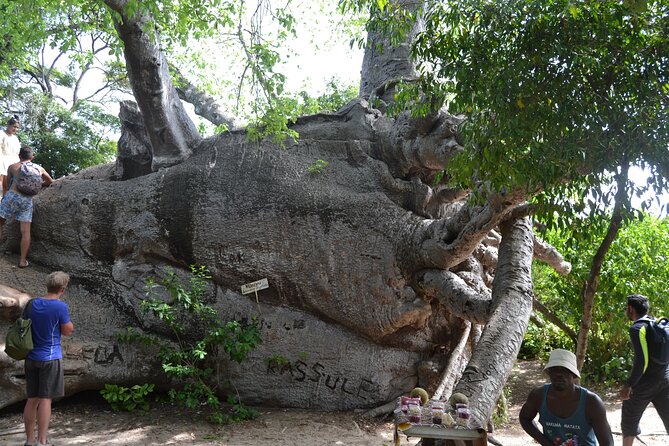 A Full Day Safari Blue Tour And Blue Lagoon - Inclusions