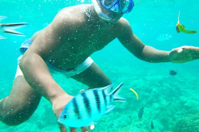 A Full Day Safari Blue Tour And Blue Lagoon - What To Bring