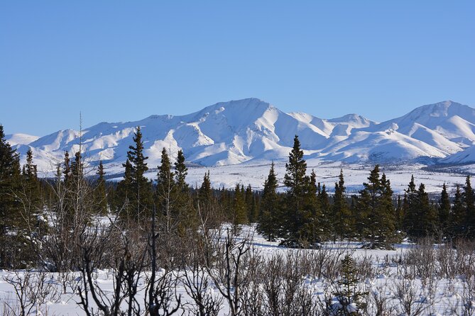 A Full-Day, Small-Group Denali National Park Tour  - Fairbanks - Inclusions and Amenities