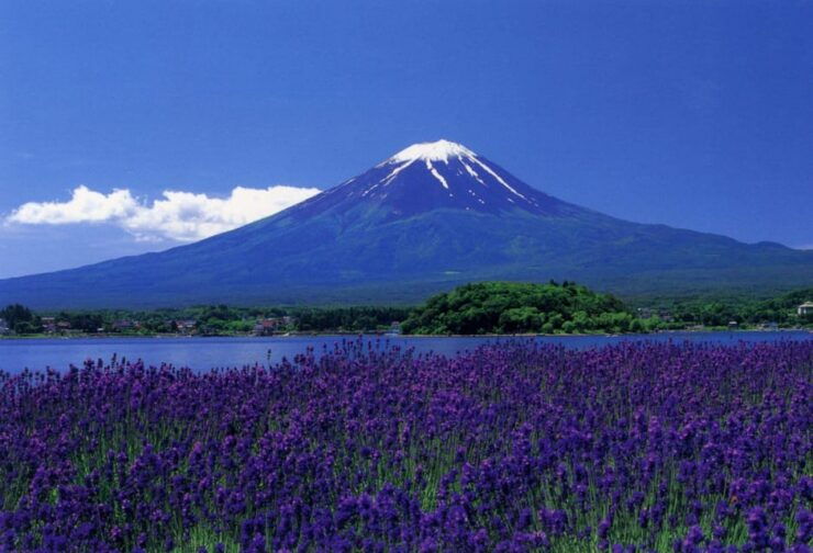 A Full Day Tour in a Private Car or Van of Mt Fuji - Good To Know