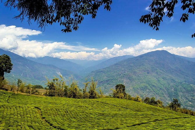 A Full Day Tour Of Darjeeling - Transportation and Guides
