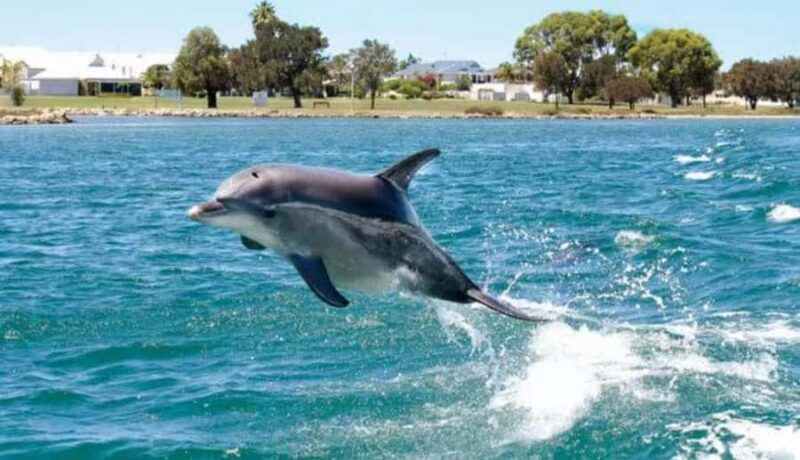 A Gentle Day in Hualien:From Open Waters to Sacred Valleys - Introduction: An Authentic Mix of Sea and Mountain