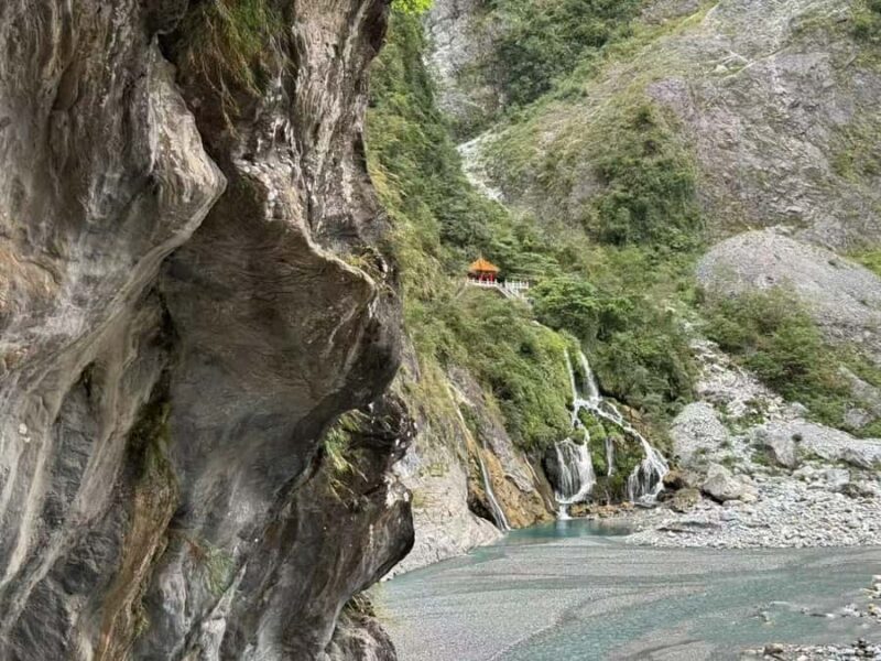 A Gentle Day in Hualien:From Open Waters to Sacred Valleys - Starting at Hualien Port: Whale and Dolphin Watching