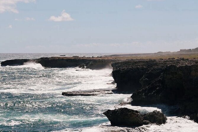 A Good Bajan Day - Bestselling Barbados Highlights Tour - Transportation and Group Dynamics