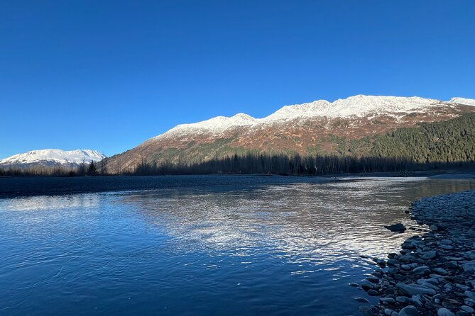 A Guided Alaskan Escape: Wildlife Sanctuary and Glacier Hiking - Good To Know