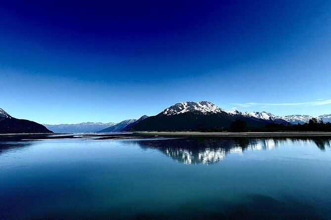 A Guided Alaskan Escape: Wildlife Sanctuary and Glacier Hiking - Who Is This Tour Best For?