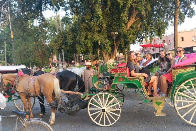 A Guided Day on Foot to Visit the Medina of Fes - Culinary Delights and Tea Tastings