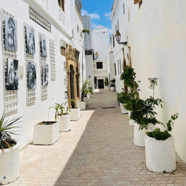 A Guided Day Trip to Tetouan and Chefchaouen From Tangier - Itinerary Highlights