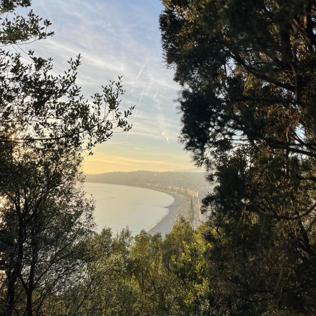 A Guided Walking Tour Through the Charming Streets of Nice - Tour Experience Description